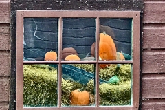 Farm Window